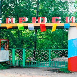 Детский загородный стационарно-оздоровительный лагерь "Бирюсинка"